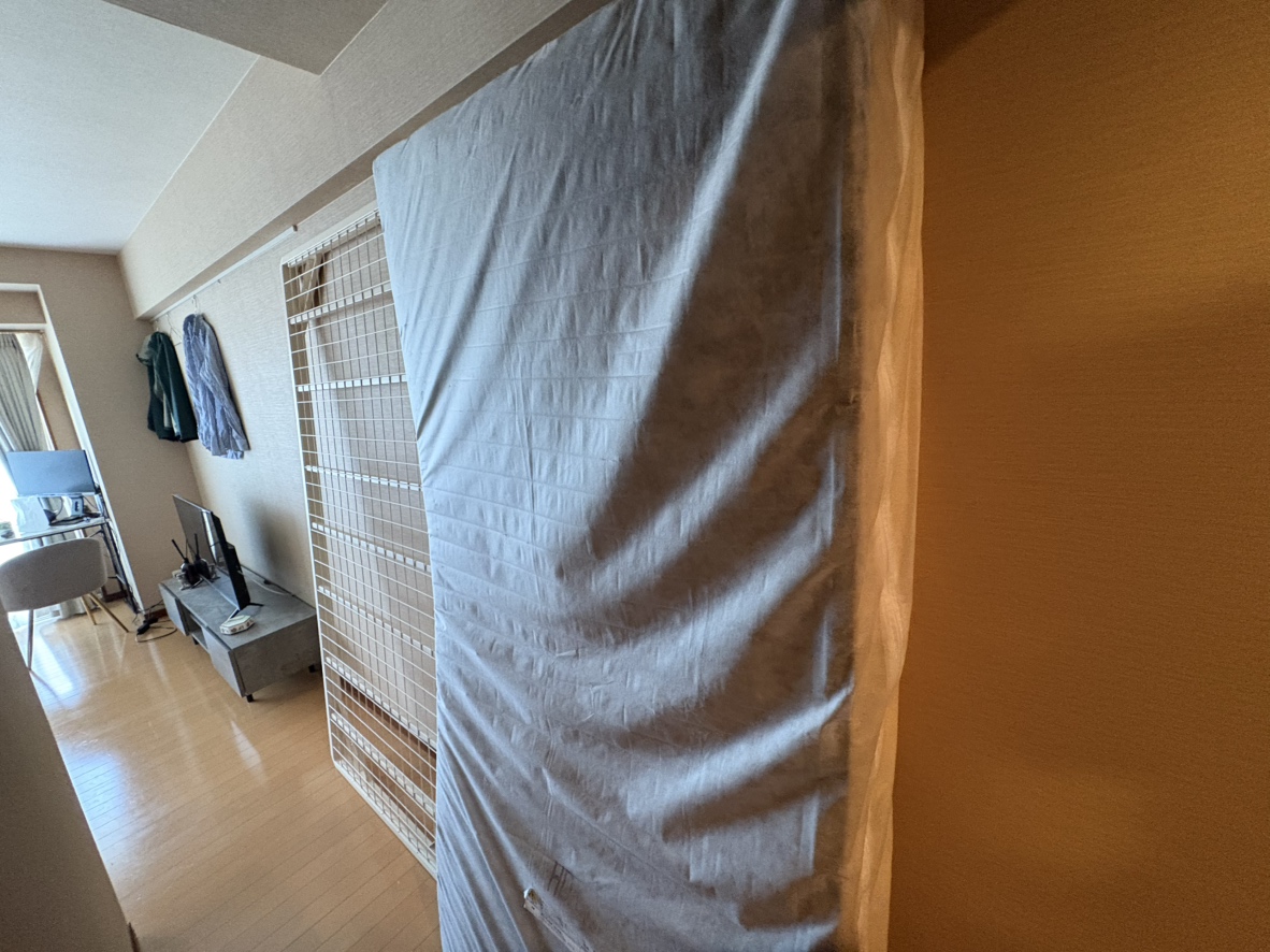 Before写真